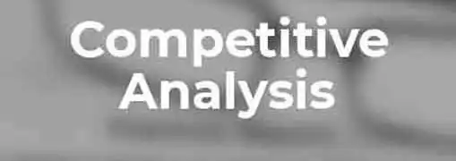 Competitive Analysis