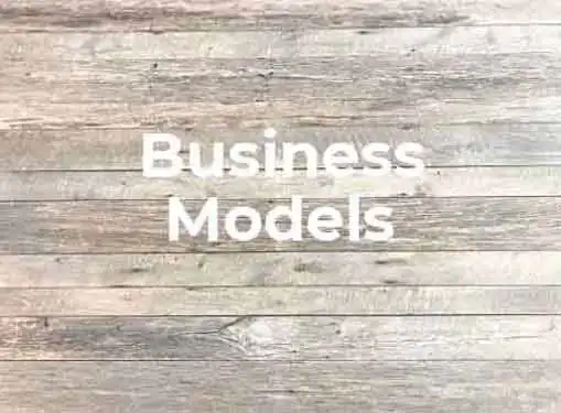 Constructing A Business Model