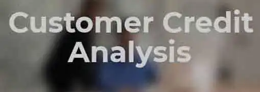 Customer Credit Analysis