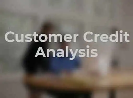 Customer Credit Analysis