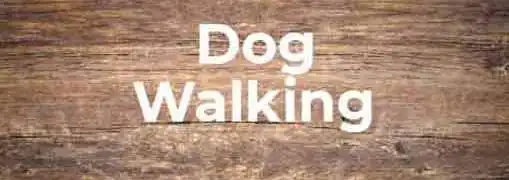 Dog Walking Business