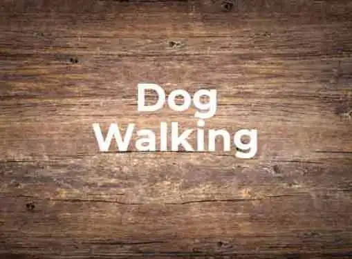 Dog Walking Business