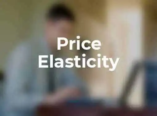 Economics Price Elasticity of Demand