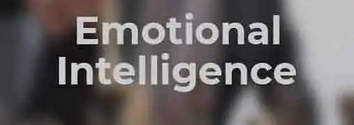 Emotional Intelligence and the Entrepreneur