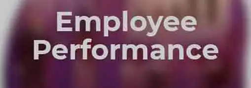 Employee Performance Measurement