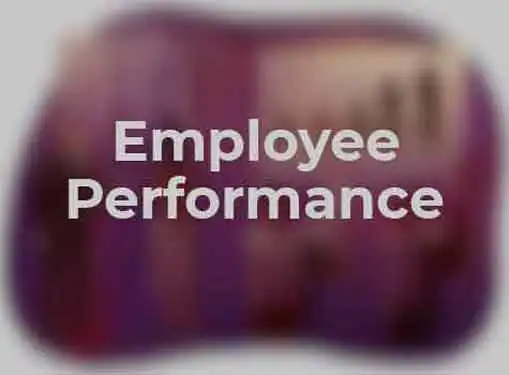 Employee Performance Measurement