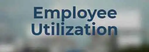Employee Utilization