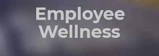 Employee Wellness Programs