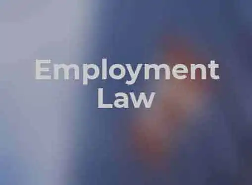 Employment Law