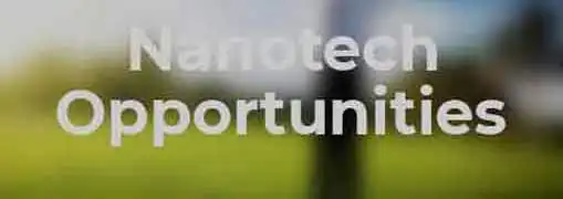 Entrepreneurial Opportunities in Nanotechnology