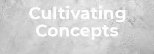 Entrepreneurism and Developing the Idea