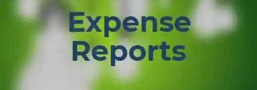 Expense Report