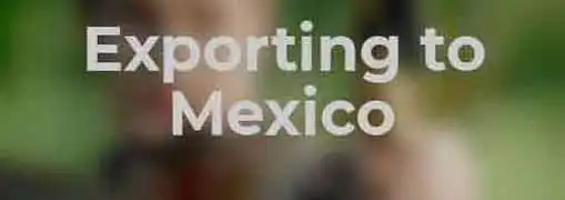 Exporting to Mexico