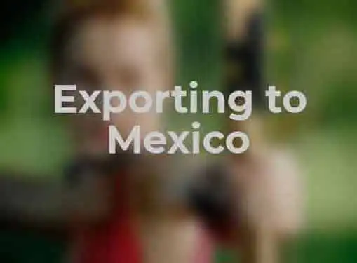 Exporting to Mexico