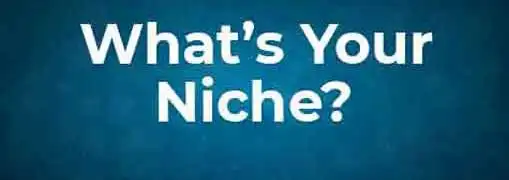 Finding Your Niche
