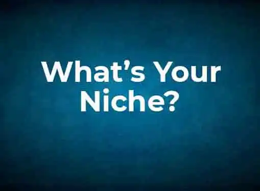 Finding Your Niche