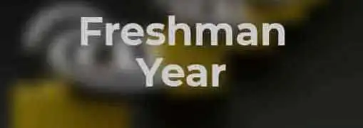 Freshman Year in Business