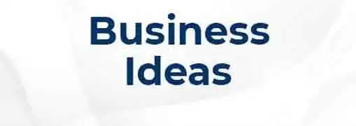 From Entrepreneurial Idea to Tangible Business