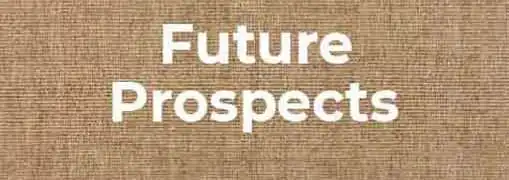 Future Prospects for Service Industry