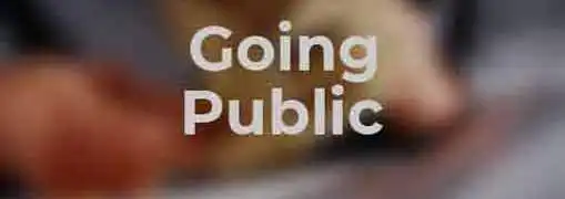 Going Public Through a Reverse Merger