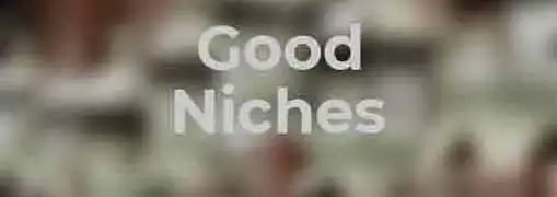 Good Niches for Web Publishers