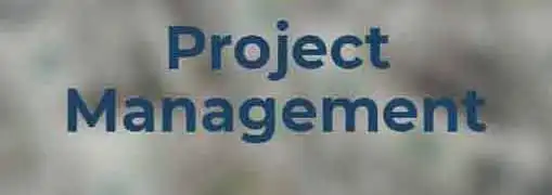 Good Project Manager