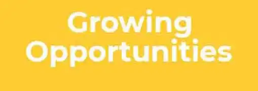 Growing Opportunities for Solopreneurs