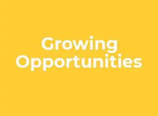 Growing Opportunities for Solopreneurs
