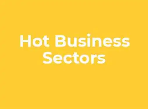Hot Small Business Sectors