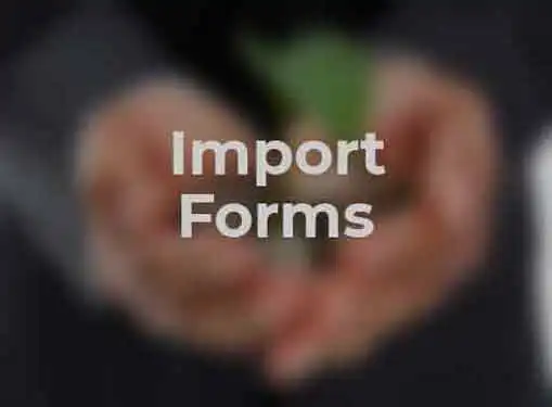 Import Business Forms and Paperwork