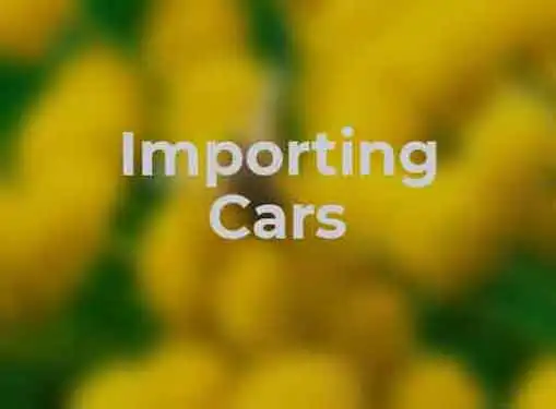 Importing Cars and Other Motor Vehicles