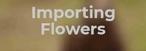 Importing Flowers