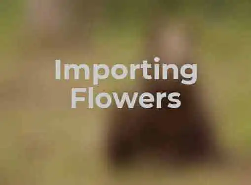 Importing Flowers