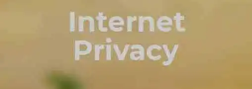 Internet Privacy at Small Businesses