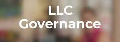 LLC Formalities Requirements and Expenses