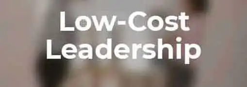 Low Cost Leadership Strategy