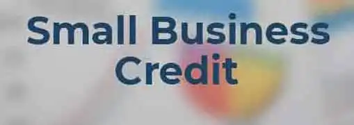 Managing Small Business Credit
