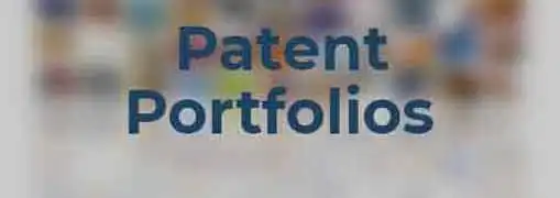 Managing a Patent Portfolio