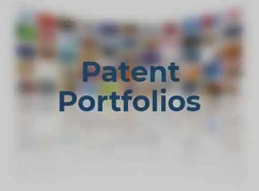 Managing a Patent Portfolio