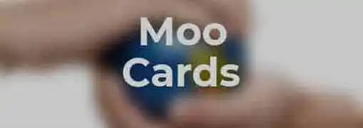 Moo Cards