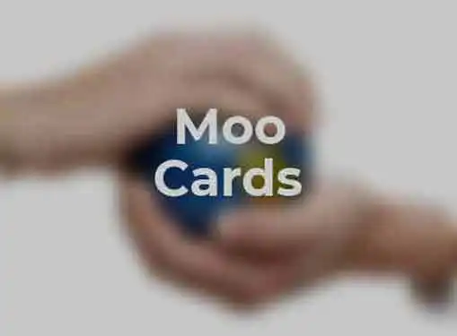 Moo Cards