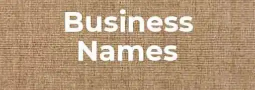 Naming My Business