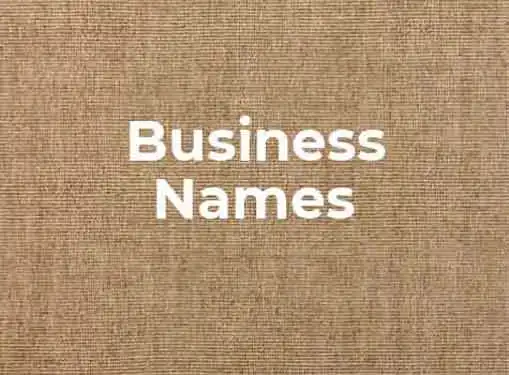 Naming My Business