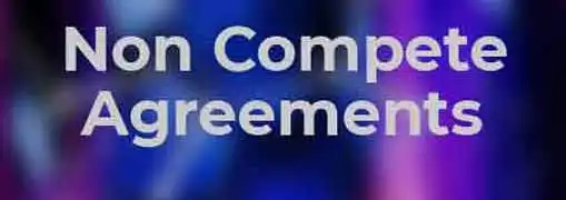 Non Compete Agreement
