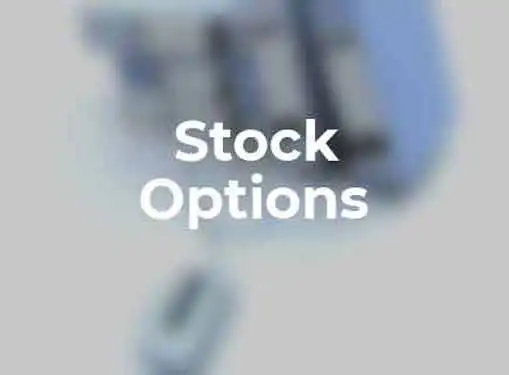 Offering Stock Options