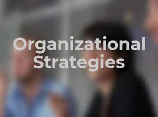 Organizational Strategies