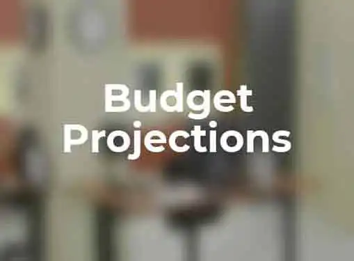 Projected Budget