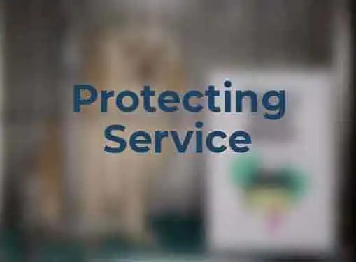 Protecting Service Marks