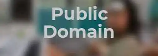 Public Domain and Copyrights