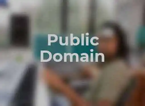 Public Domain and Copyrights